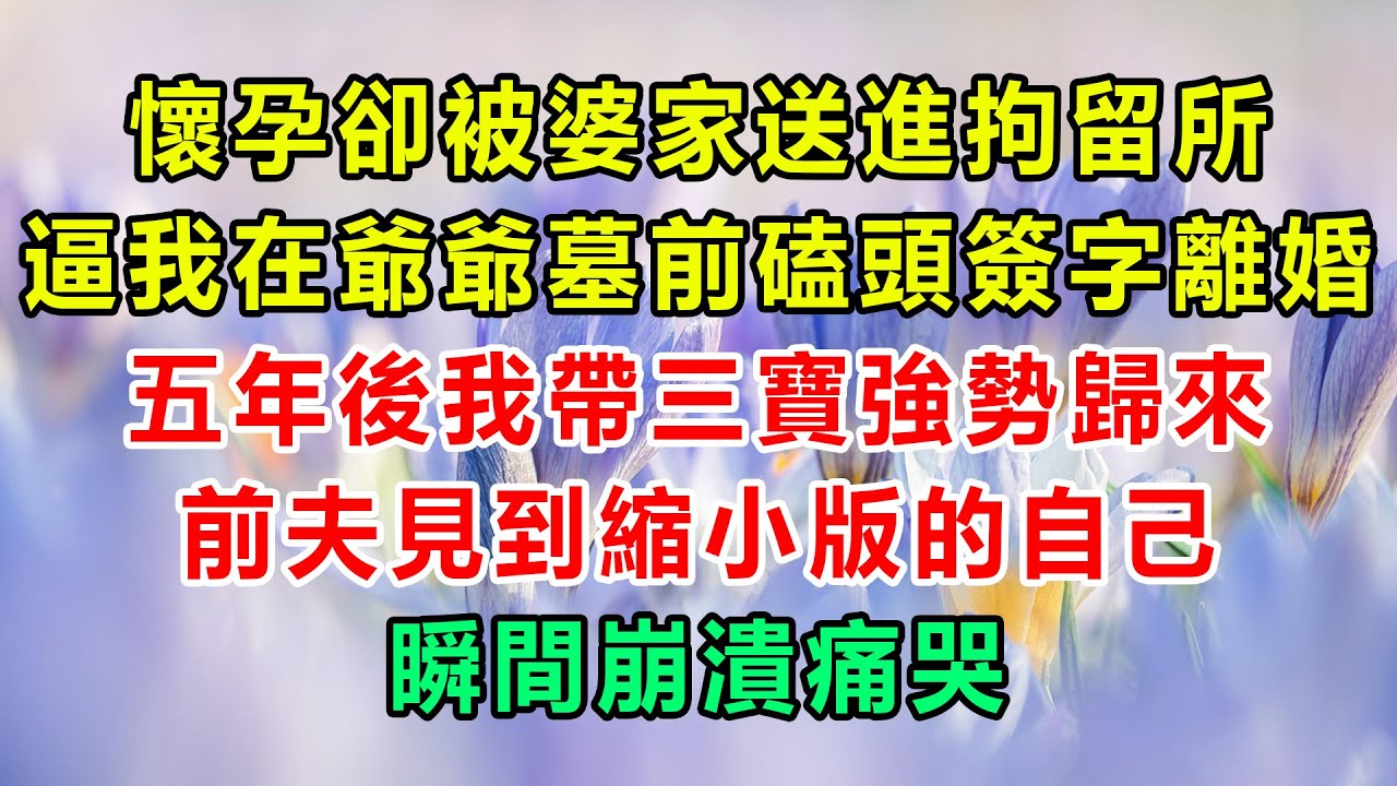 懷孕卻被婆家送進拘留所，逼我在爺爺墓前磕頭簽字離婚，五年後我帶三寶強勢歸來，前夫見到縮小版的自己，瞬間崩潰痛哭