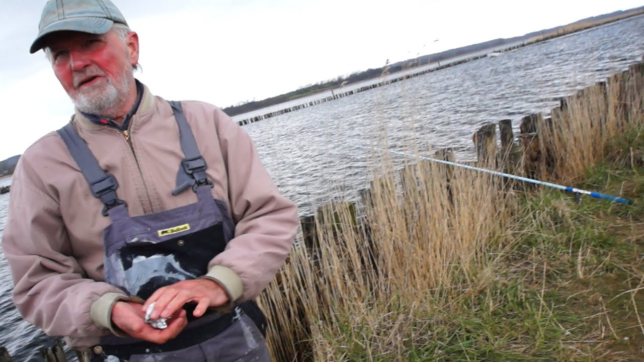 Status, Sildefiskeri Randers Fjord - April 2016