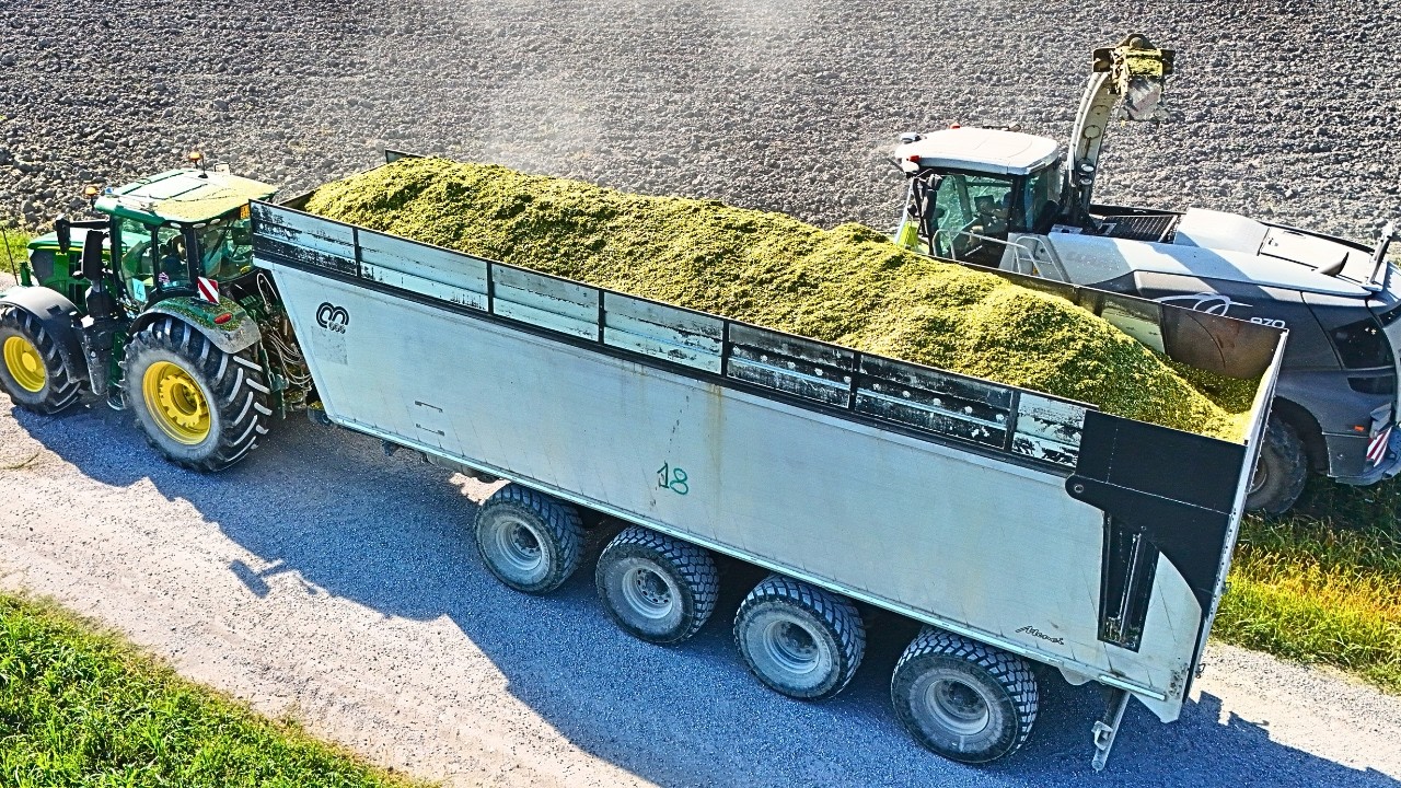 Сборник видеороликов о молотьбе рубленой кукурузы: CLAAS, JOHN DEERE, NEW HOLLAND, FENDT + бонус.