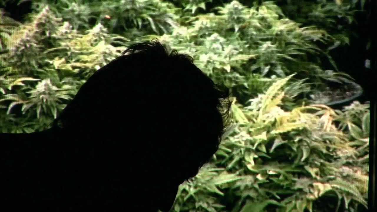 Prop 203 Medical Marijuana Benefits Disabled Veteran
