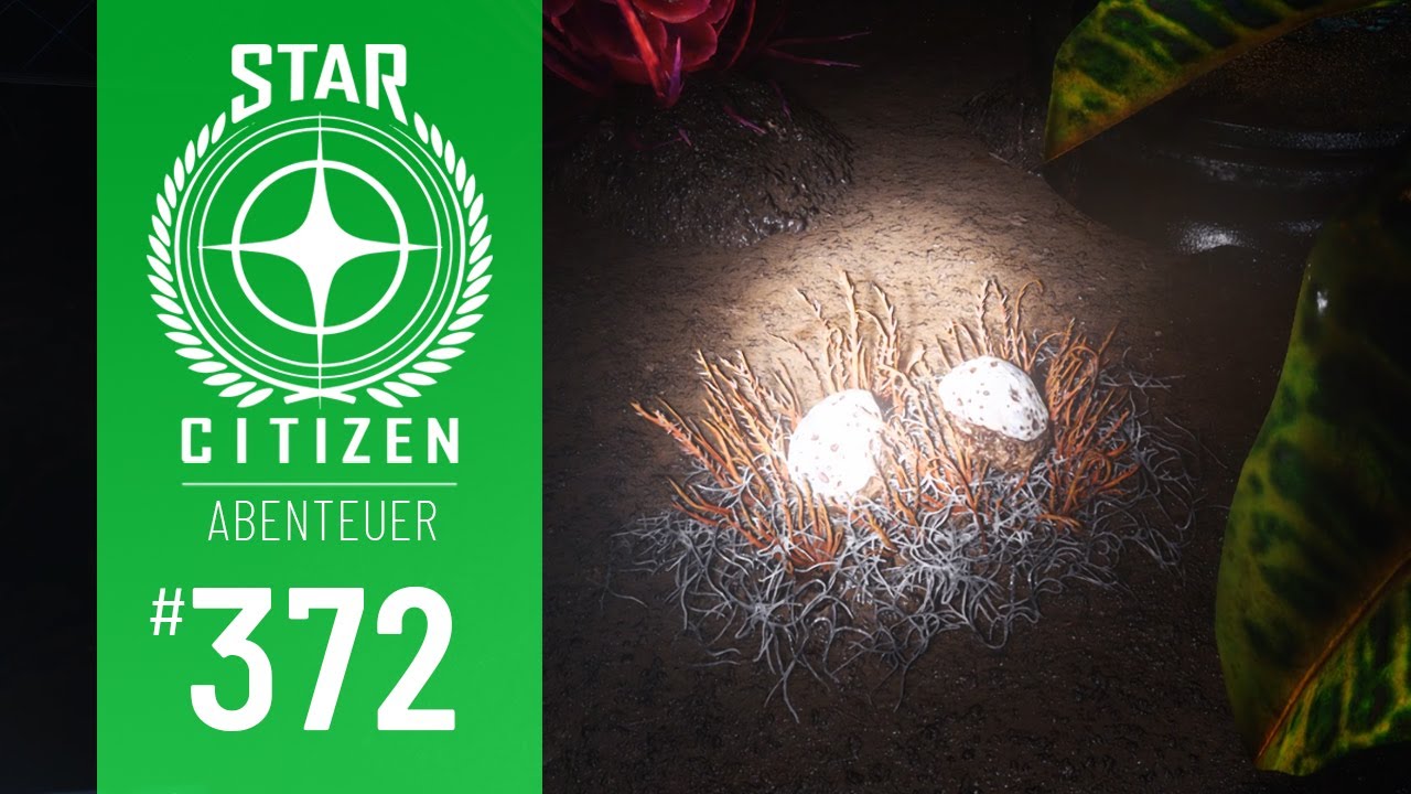 STAR CITIZEN #372 | ABENTEUER | Alliance Aid: Decari Pods sammeln | 2K | Alpha 4.6