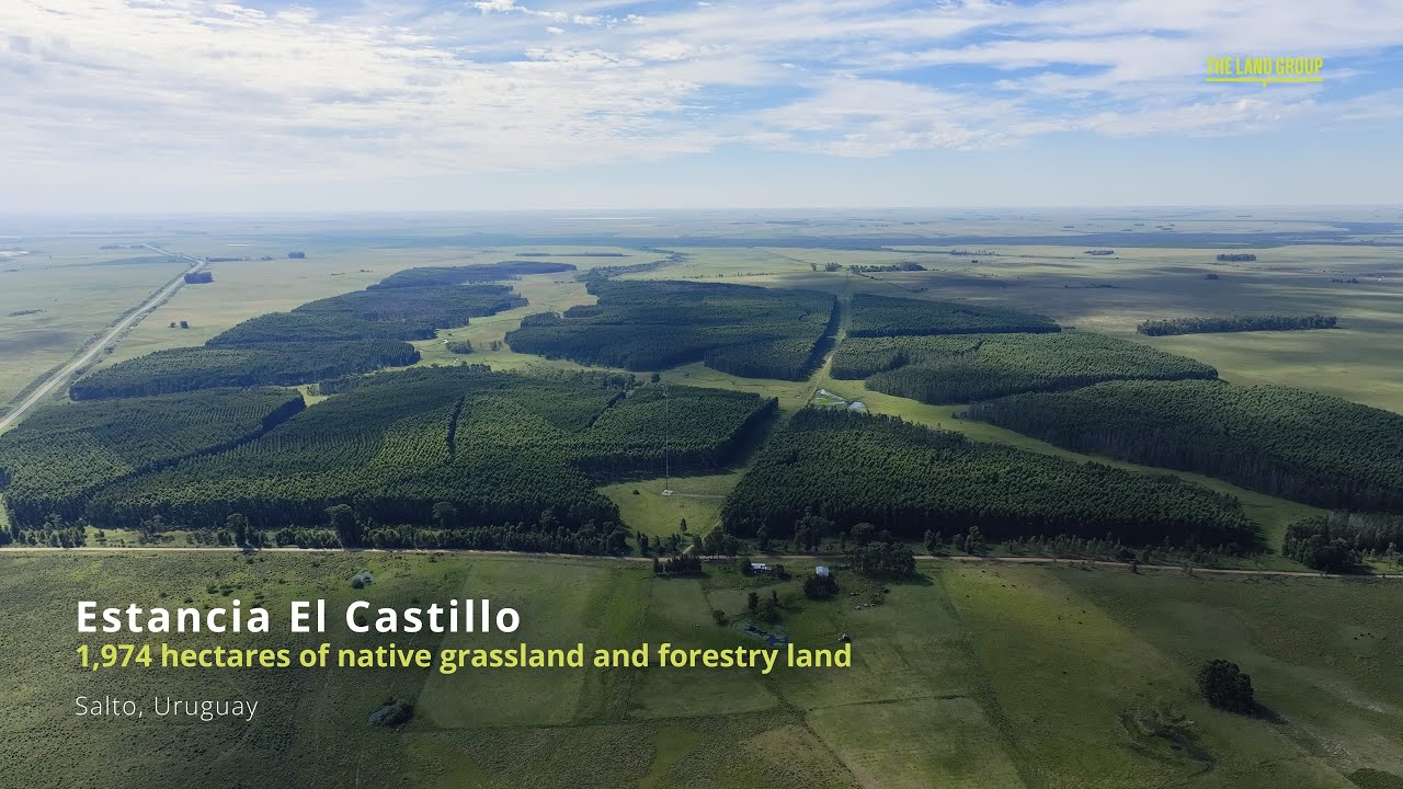 THE LAND GROUP - Estancia El Castillo