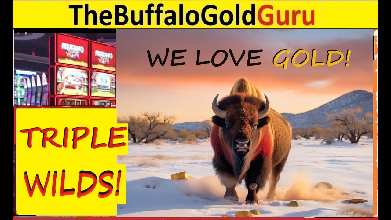 WINNING at WINSTAR casino - BONUS ROUNDS, reading COINS on Buffalo GOLD slots!