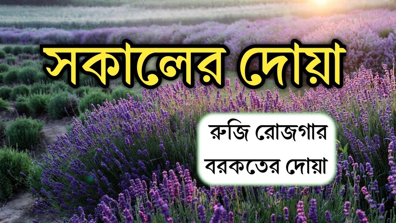 সকালটা শুরু হোক হৃদয় শীতল করা বরকতময় আয়াত দিয়ে। সকালের দোয়া ও জিকির। Morning Dua l By Alaa Aqel
