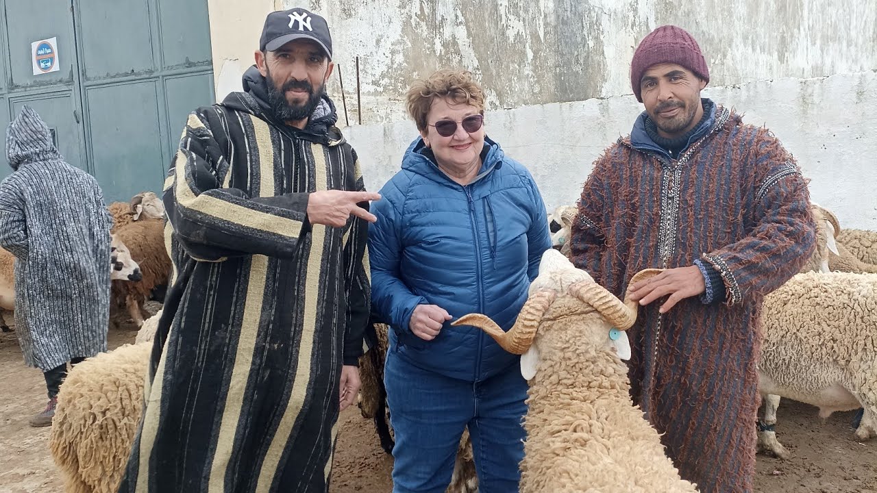 الماعز و الخروف بسوق الاحد تطوان 🐏🐑🐐||26/01/2026||0667128425🔥🇲🇦❤️