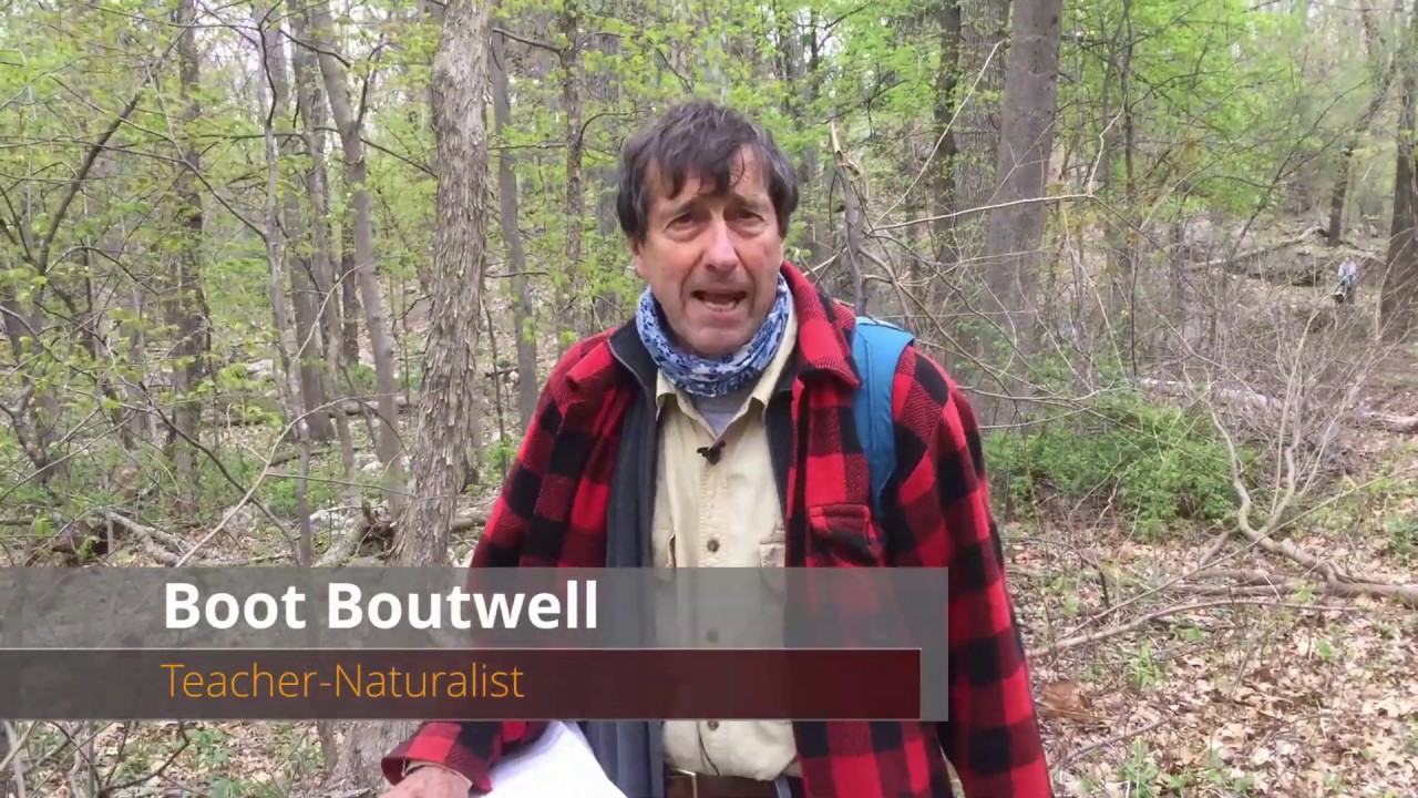 Spring Flowers with Boot Boutwell - Part 1