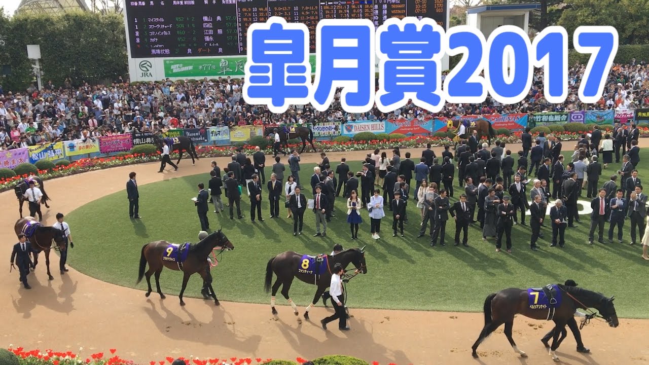 皐月賞 2017 結果はアルアイン!!ファンディーナ一番人気も結果は大波乱【競馬】