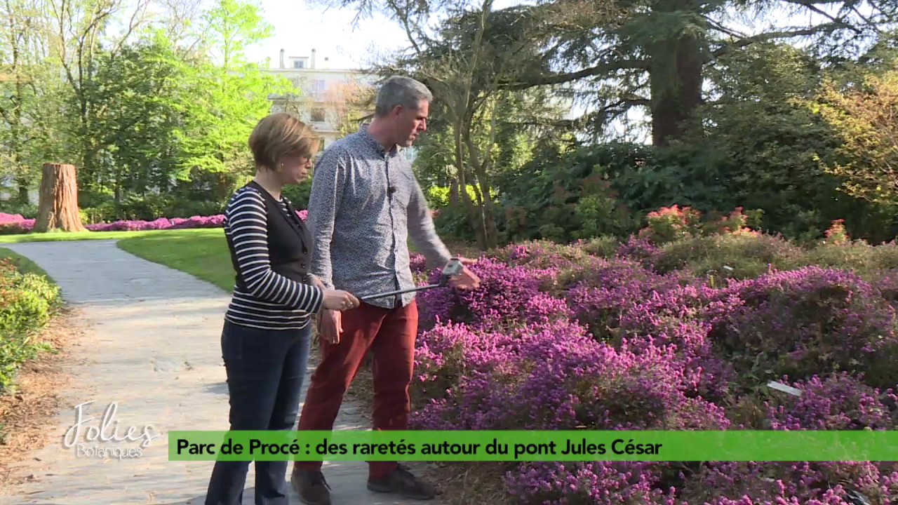 Folies Botaniques au Parc de Procé #2 : pont Jules César
