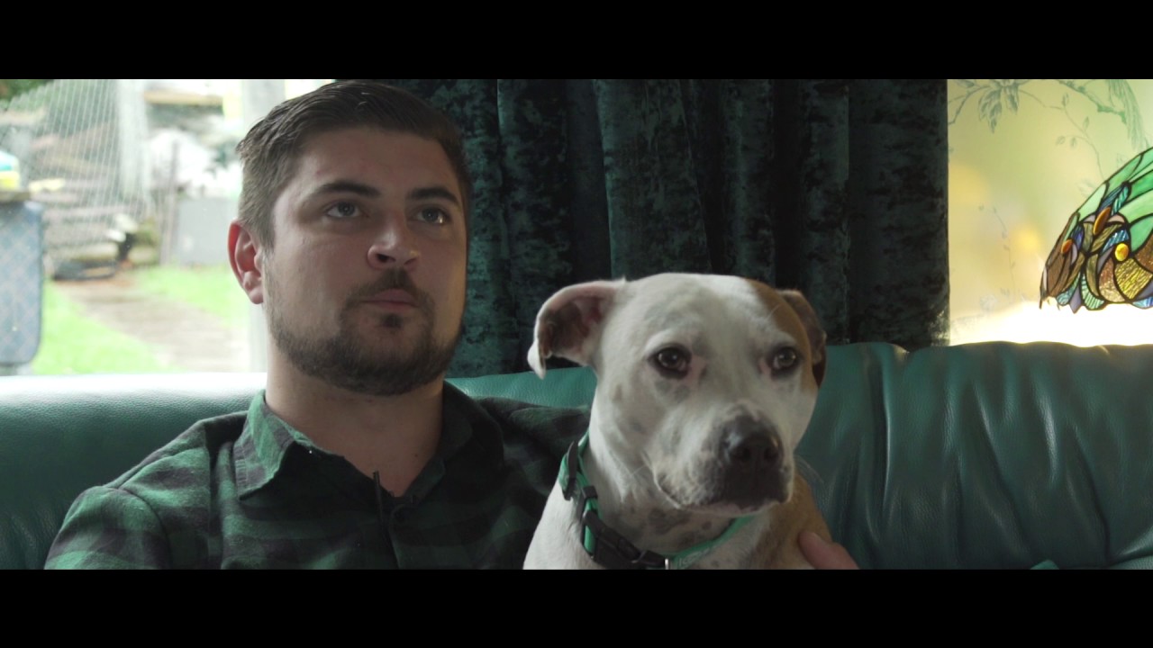 Life-saving Staffie awarded “animals’ George Cross”