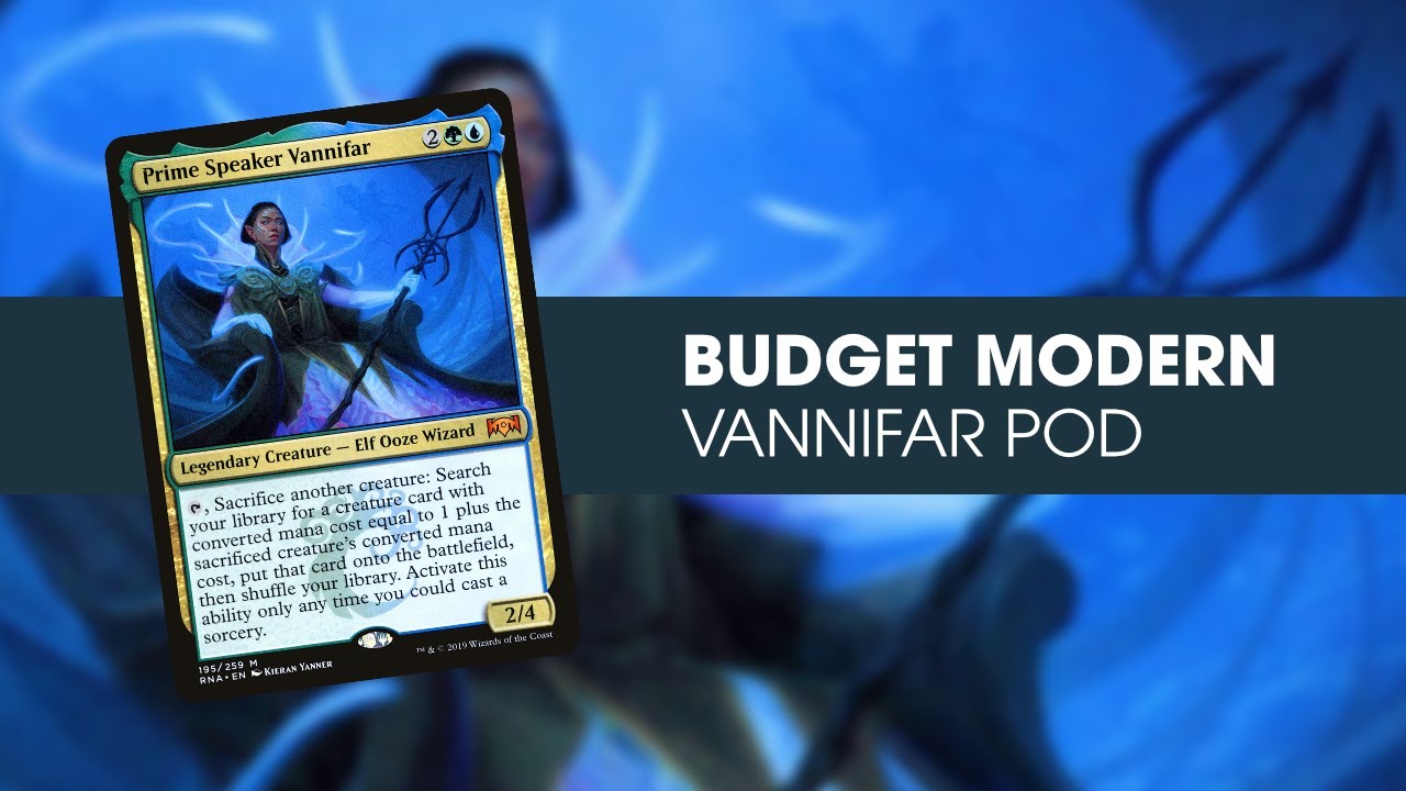 Modern on a Budget: Vannifar Pod!