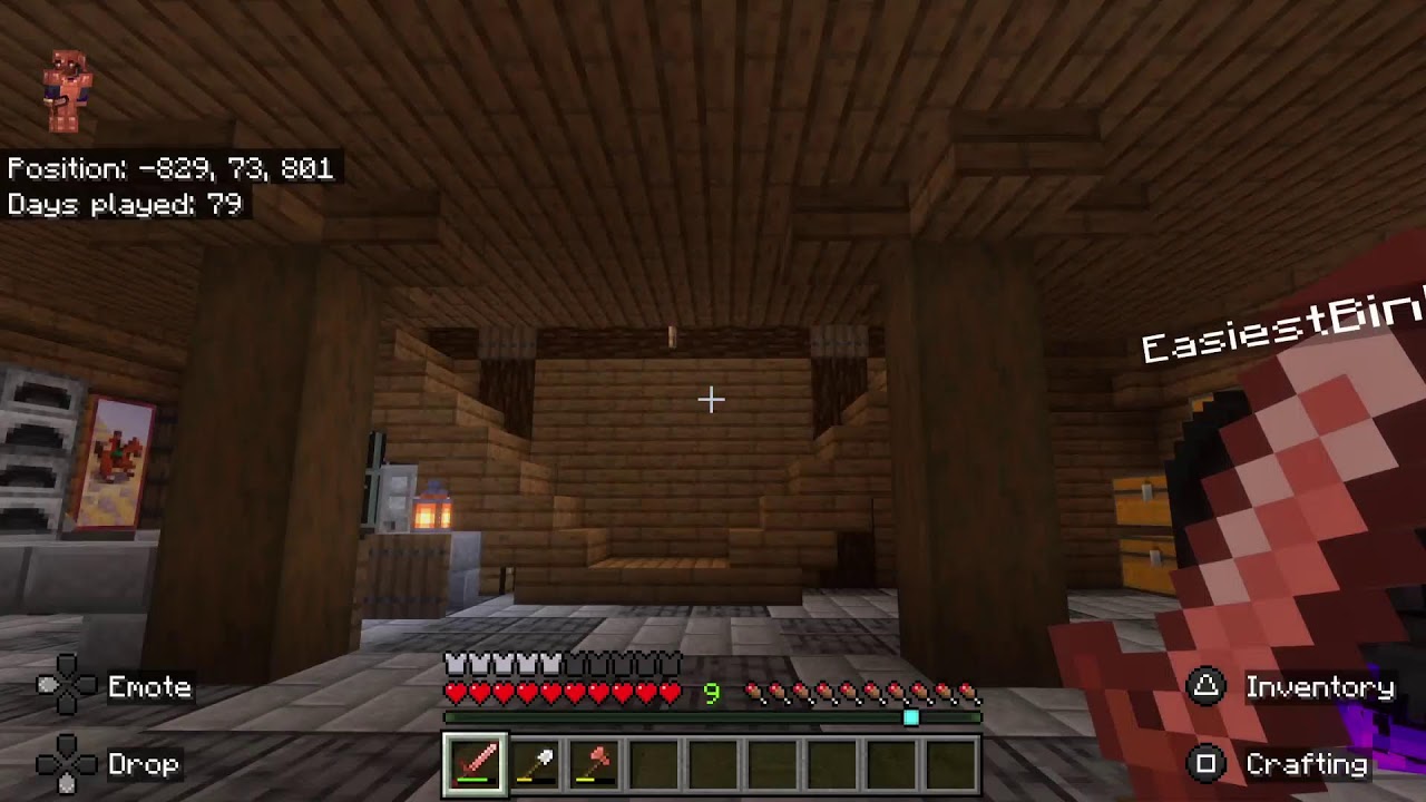 Minecraft permanent world just chillin for a bit