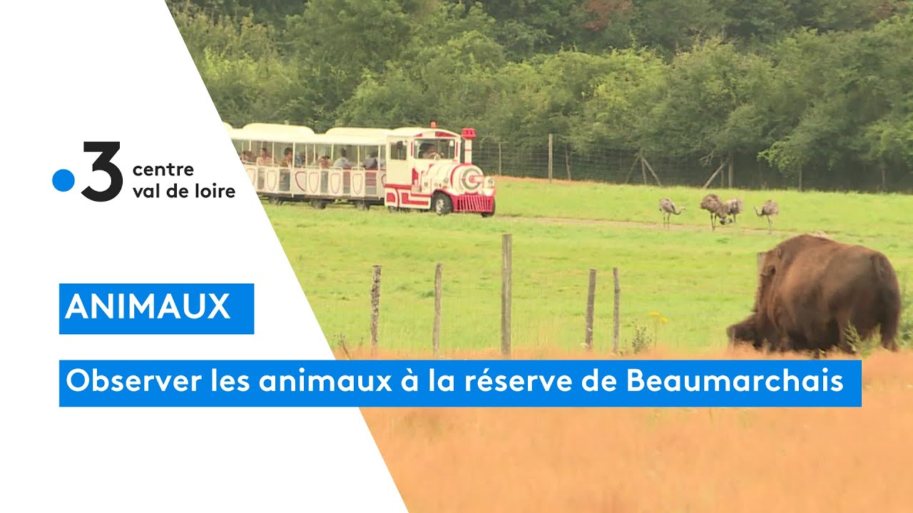 Touraine : la réserve Beaumarchais pour approcher au plus près des animaux