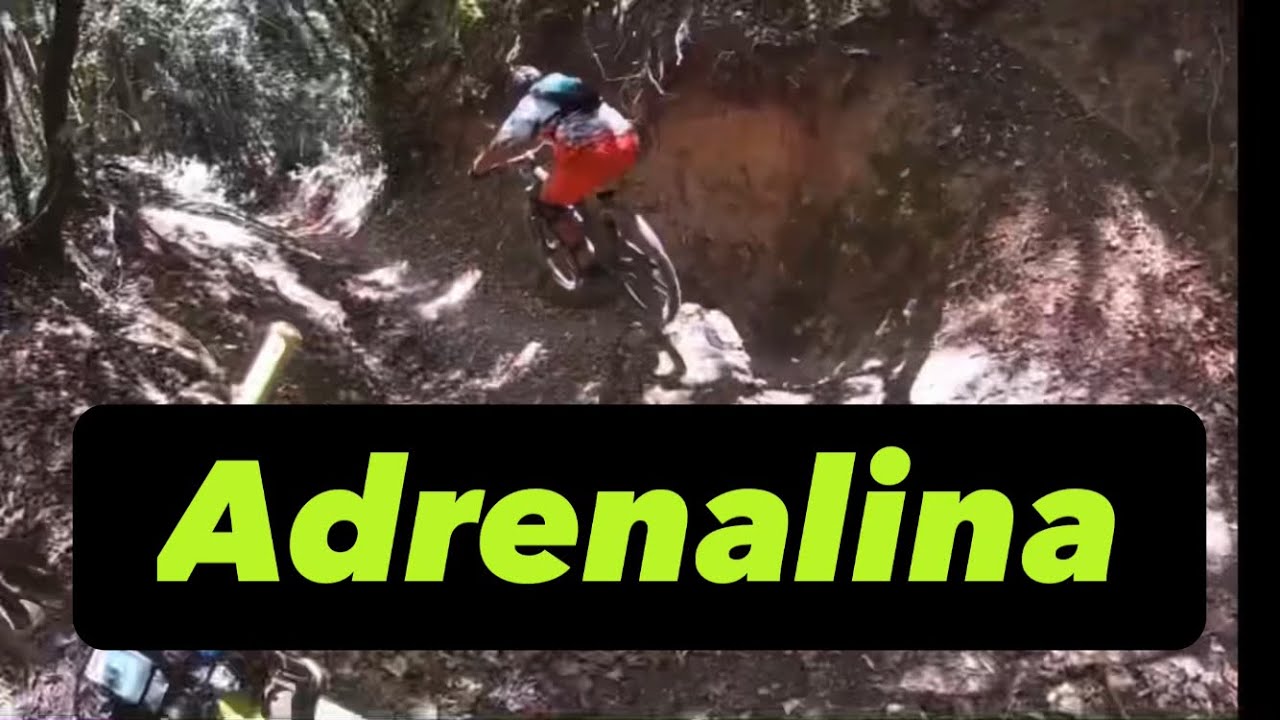 Il TOSSIKO mi ha dato una dose di adrenalina❗️