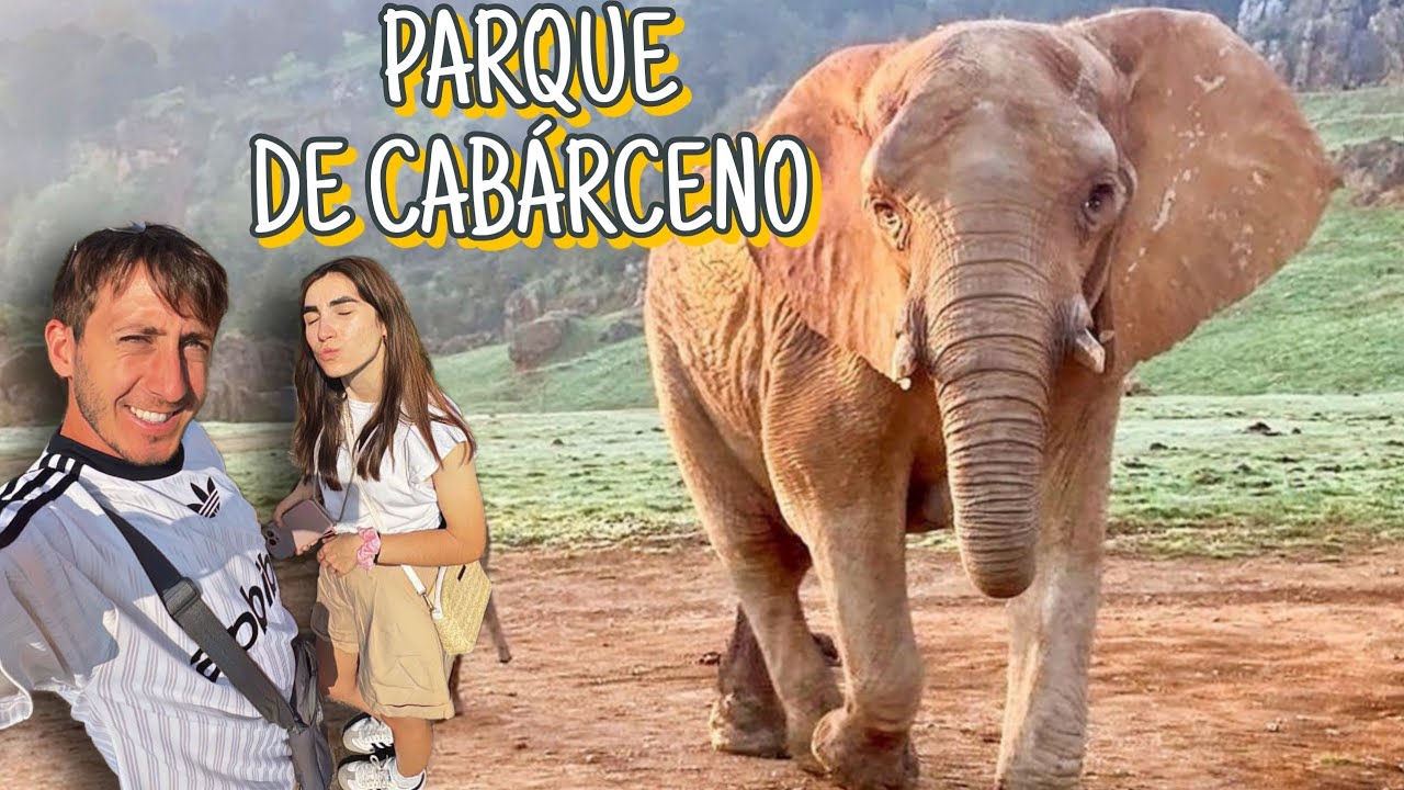 ASÍ es el PARQUE NATURAL de CABÁRCENO | RECORRIDO COMPLETO 🇪🇸 ANIMALES en SEMILIBERTAD en ESPAÑA 🐘