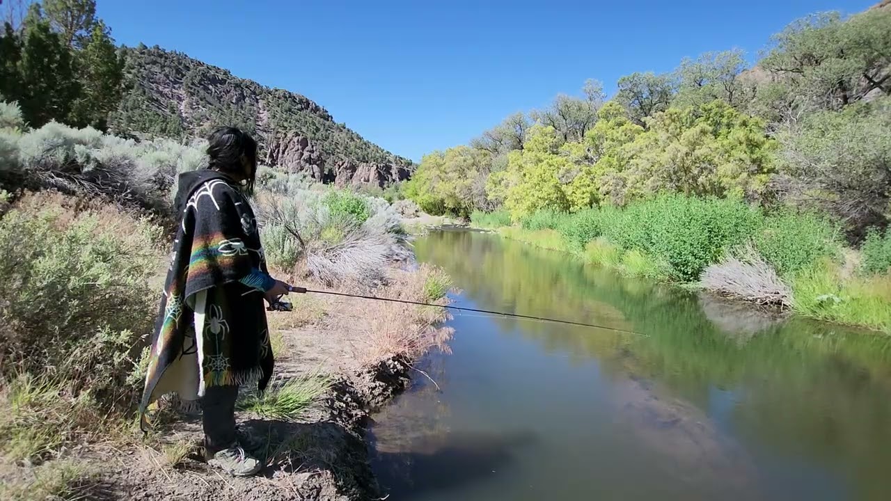 Nevada Small creek fishing on a windy day
