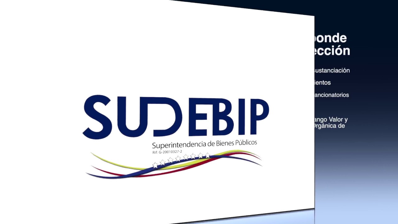 Supervisión y Fiscalización de los Bienes Públicos