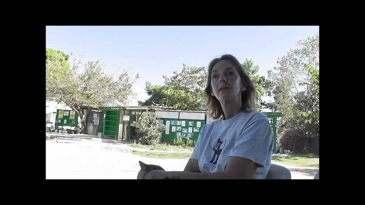 Skiathos Dog Shelter , great effort and great work by great people .Quick interview with Jan
