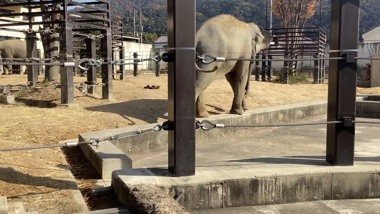 2025/11/23 10:40~11:10 カメラ③