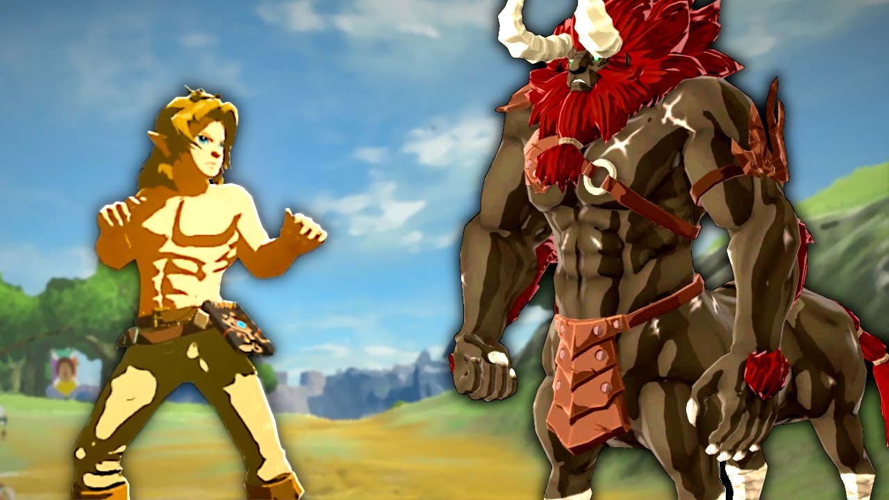 Karate Link vs Breath of the Wild