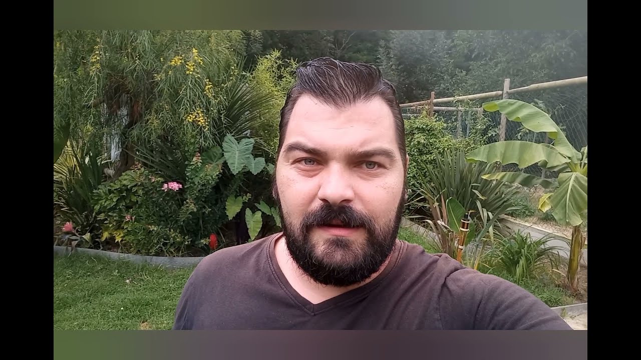 direction un producteur de plante exotiques(palmiers,bananiers,cannas,alocasia,colocasia et autres )
