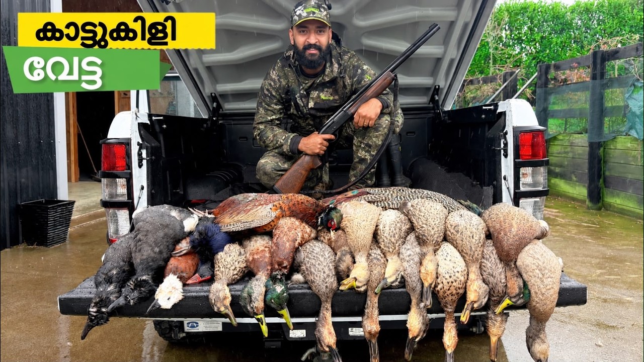 കാട്ടുകിളി വേട്ട ,GAME BIRD HUNTING,DUCK HUNT,PHEASANT HUNTING,BEST HUNTING,COOKING