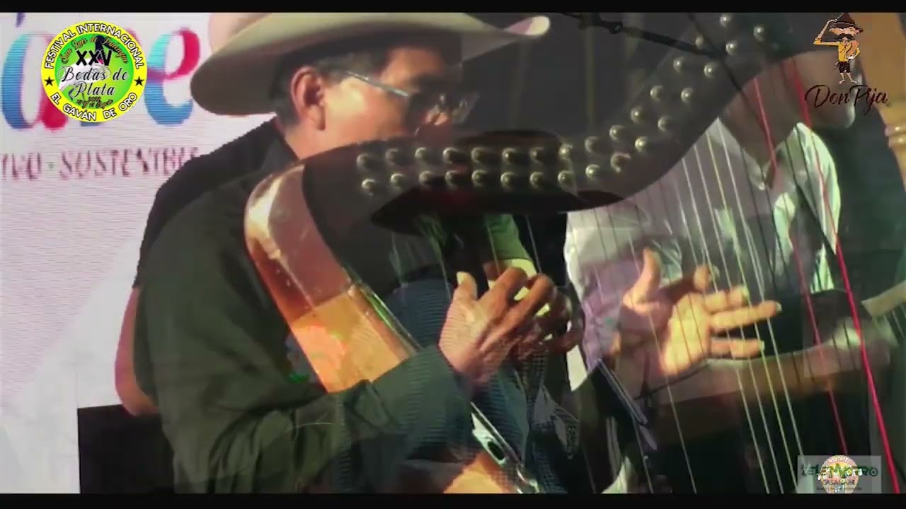 NABARDO TABACO: XXV VERSION FESTIVAL INTERNACIONAL EL GAVAN DE ORO SAN LUIS DE PALENQUE 2022