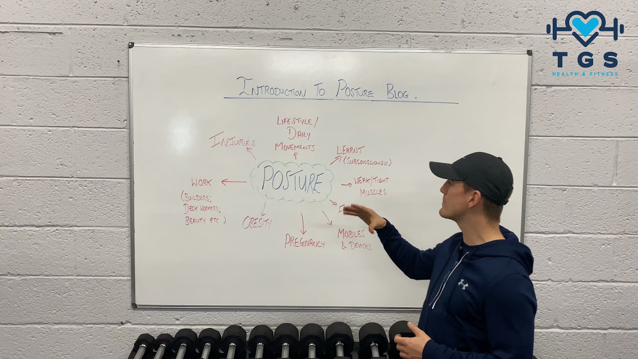 Posture blog 1. Introduction