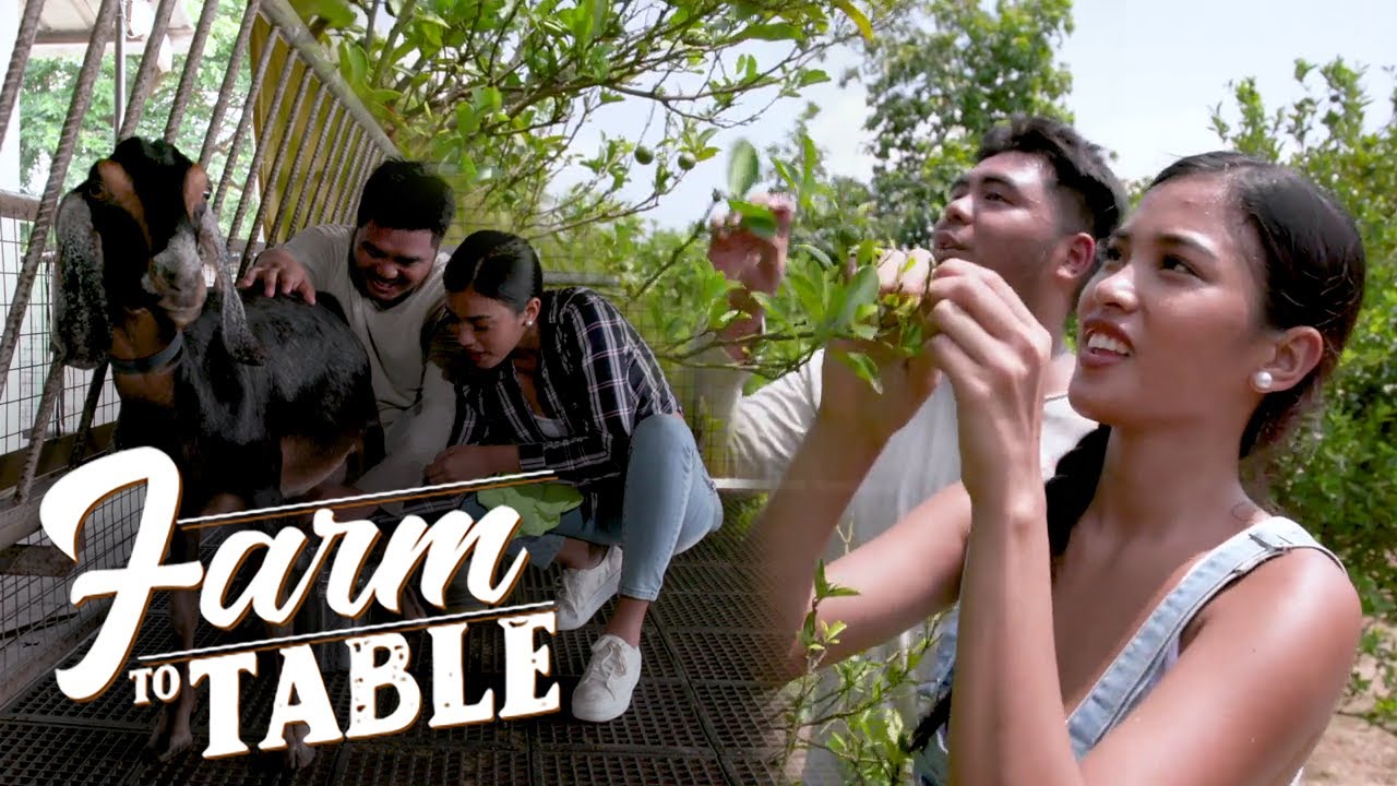 Shuvee Etrata goes foraging for Chef JR Royol’s dishes! | Farm To Table