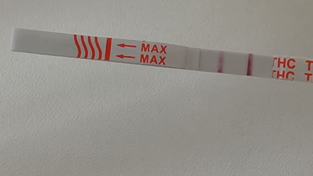 How long will Cannabis show up on an ultra THC drug test?