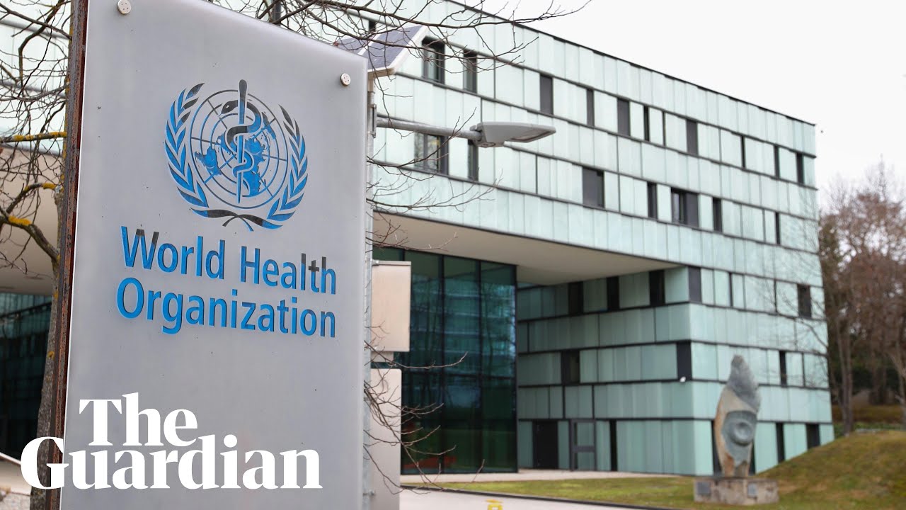 Coronavirus: WHO holds news briefing on outbreak - watch live