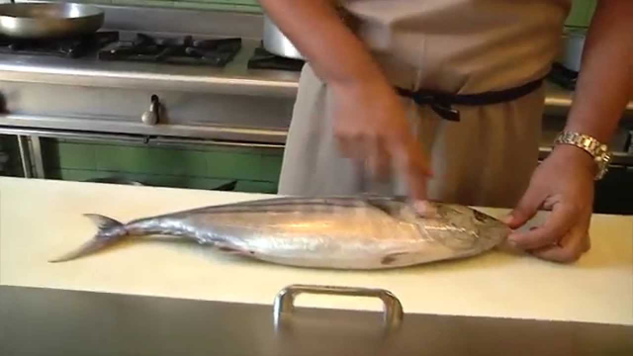 Reconozca un pescado fresco: Bonito
