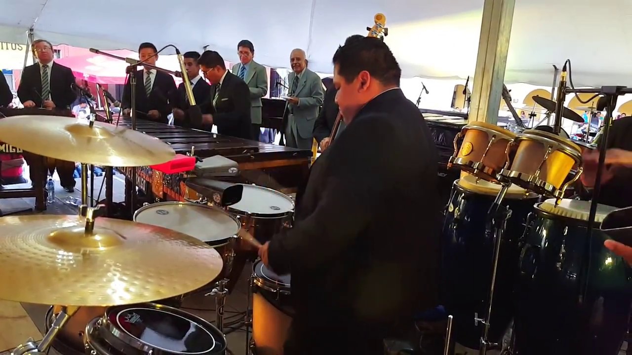 MARIMBA PERLA DE HORMIGO - LA REBELIÓN