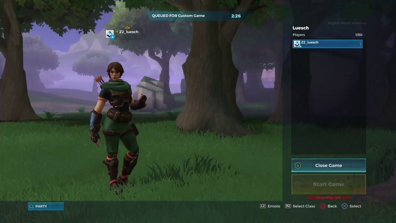 Realm Royale custom match