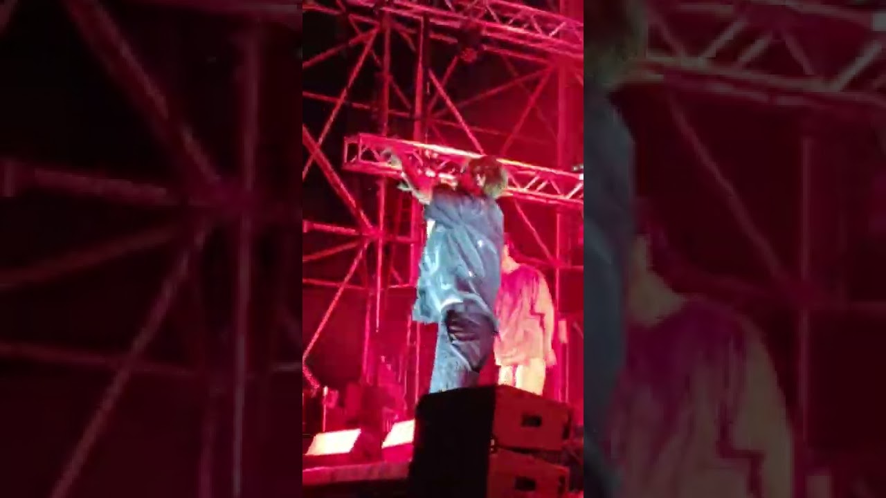 BNKR44 - GIRASOLE LIVE MI AMI 2022