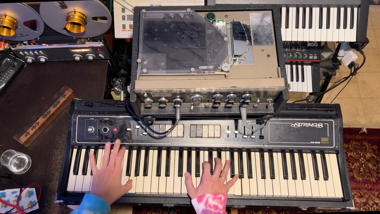 Roland RS-202 and RE-201 | Vintage Synth & Tape Echo Magic