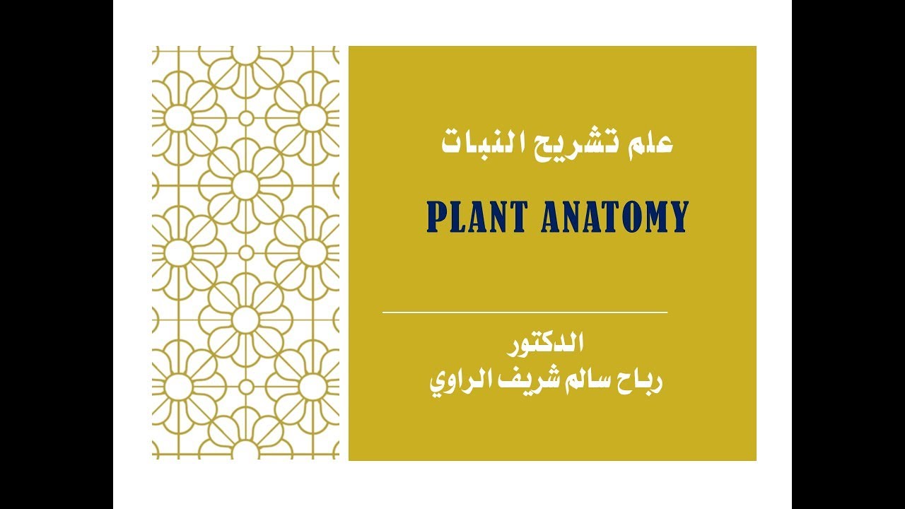 مقدمة في علم تشريح النبات ج 1