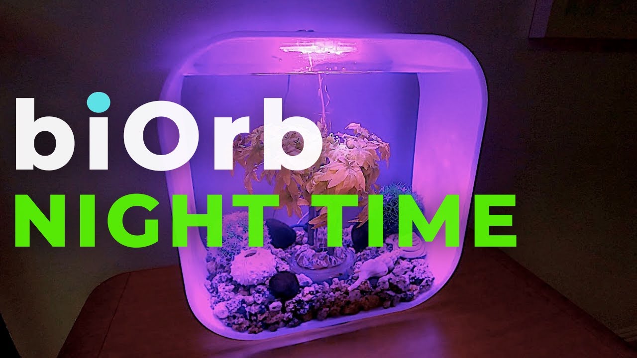biOrb Aquarium  | biOrb MCR lights at night-time
