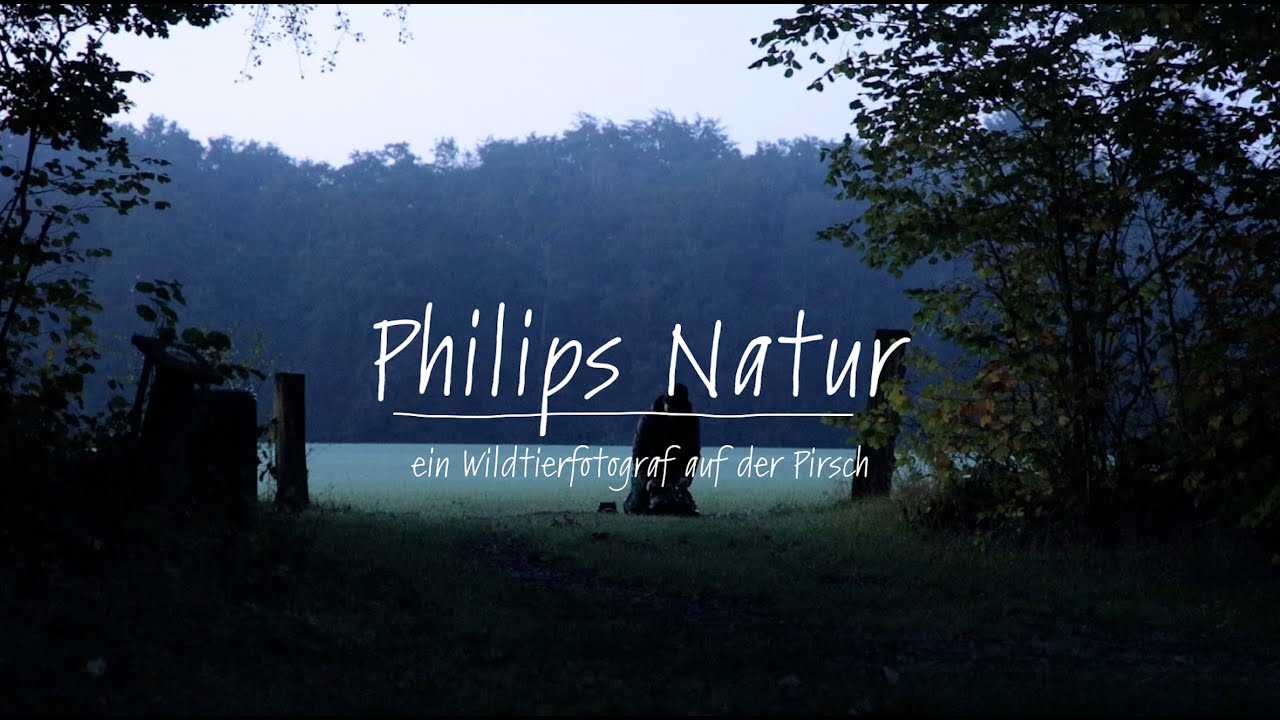 Philips Natur - Ein Wildtierfotograf auf der Pirsch