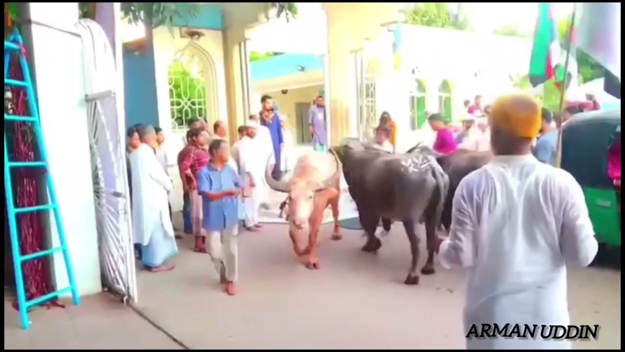 মহান ২৬ আশিন বিশ্ব ওলি শাহেন শাহ জিয়াউল হক মাইজভান্ডারী (কঃ) কেবলা কাবার পবিত্র ওরশ শরীফ সফল হোক। 