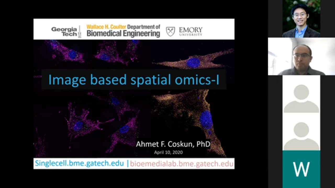 Image-based spatial omics I: Spatial Transcriptomics
