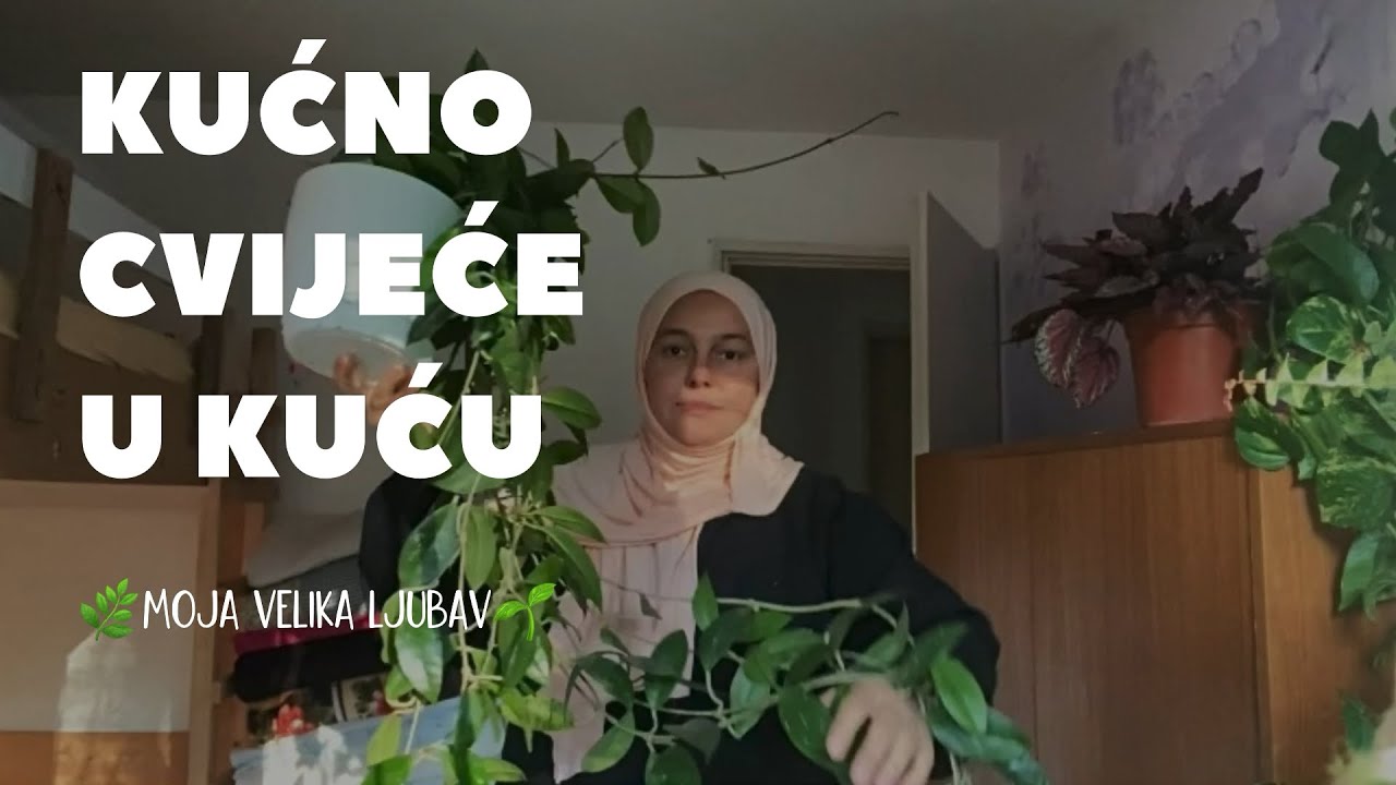 Moje kućno cvijeće🪴