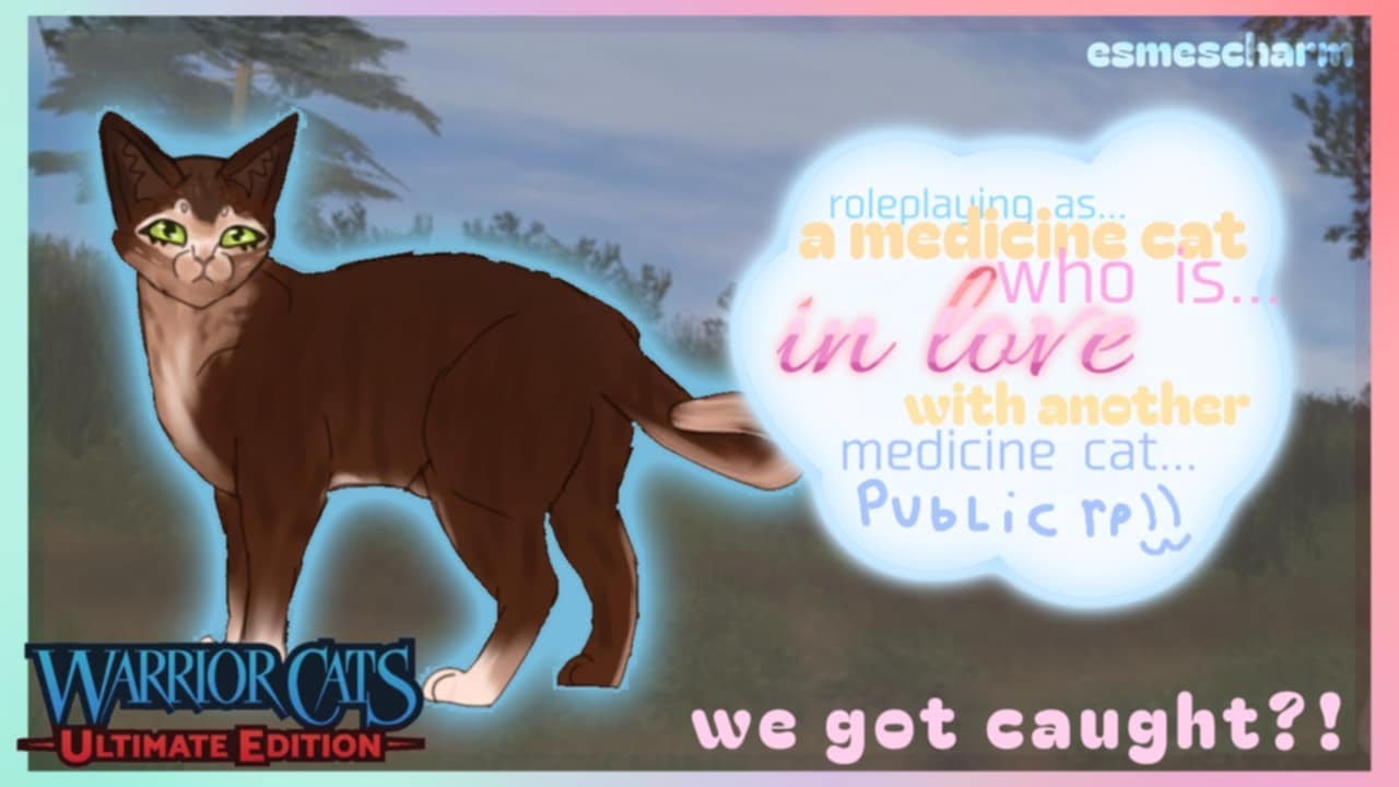 🐾 ROLEPLAYING a medicine cat in a FORBIDDEN ship in WC:UE! ❤️ | Warrior Cats Ultimate Edition Roblox