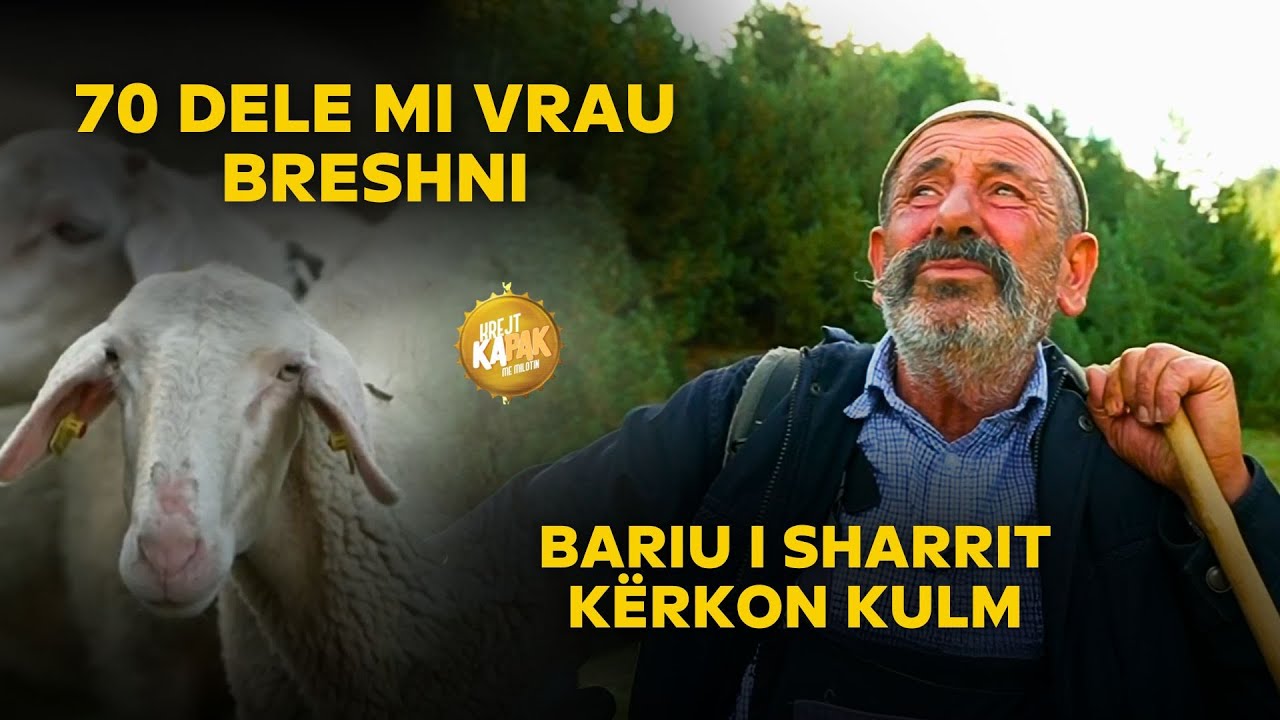 BARIU pa STAN e shtëpi MILIONËSHE në BREZOVICË /bariu ISMET ADEMI kërkon kulm në Malet e SHARRIT