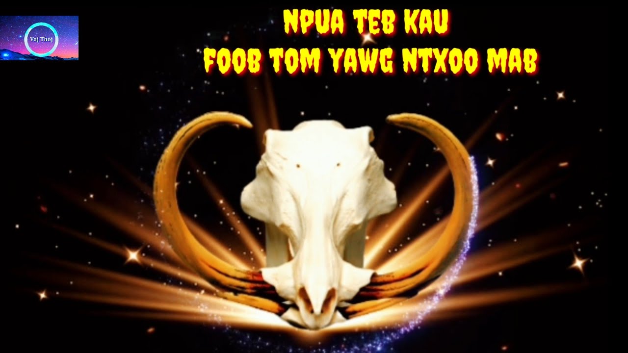 Npua teb kau foob tom yawg tshua mab 7/4/2022