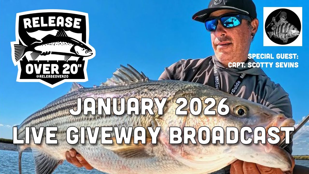 January 2026 Release Over 20 LIVE Giveaway
