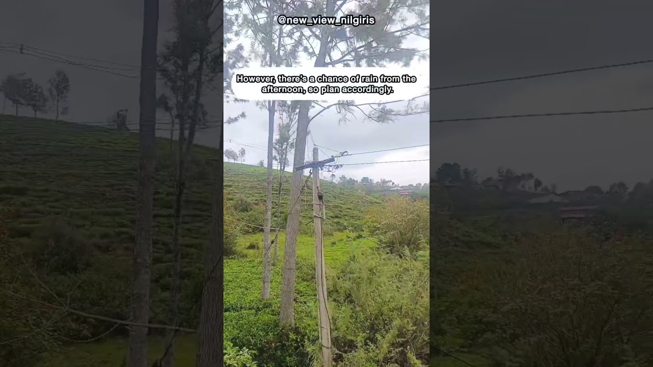 Ooty weather update today 13/08/2025 #newviewnilgiris / Nilgiris weather update today / Ooty climate