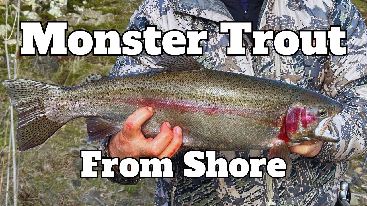 GIANT rainbow trout from the bank! Fourth of July Lake, WA