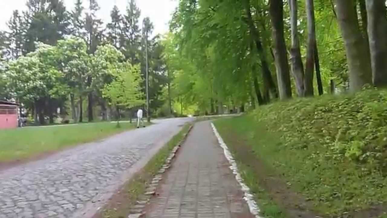 JAROMIN JW 1286 - droga od stolarni do pralni (parkanu ) - widok 13.05.2015.