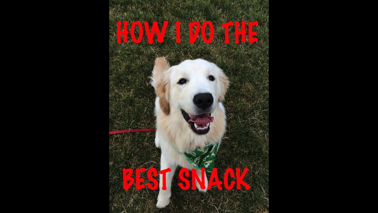 How To Make The Best Snack For Dog And You