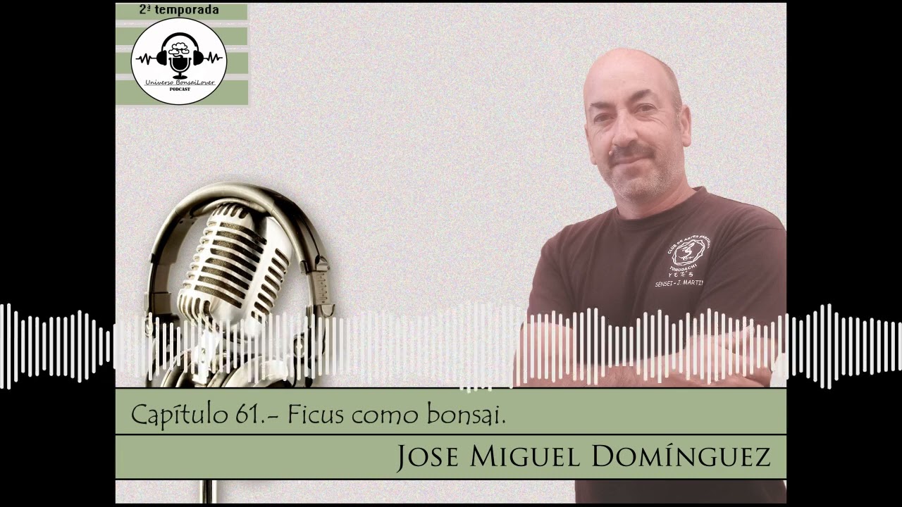 Capítulo 61.-  Ficus como bonsai  Jose Miguel Domínguez